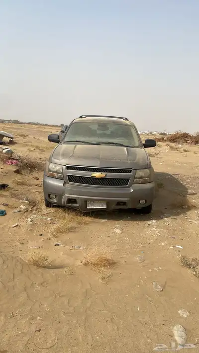 القنفذه index