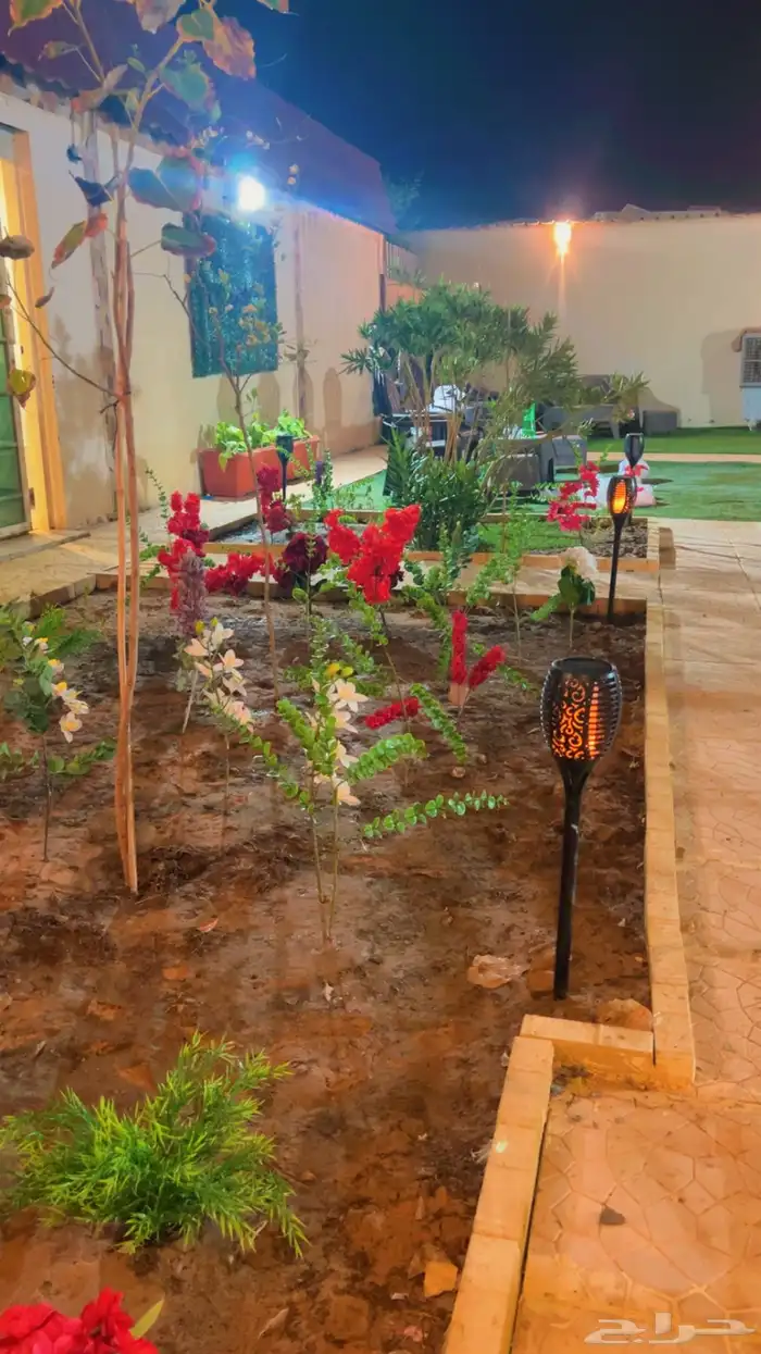 شاليه استراحه للايجار 48