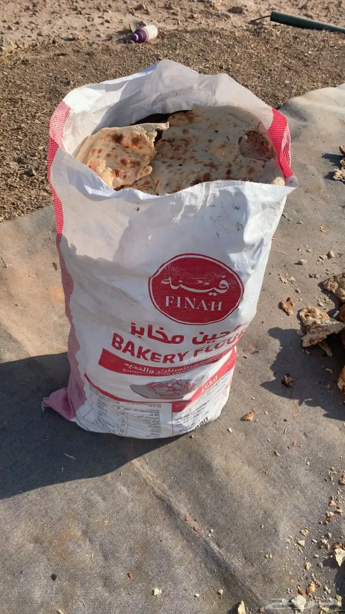 خبز تميس حول 25 كيس كبير مليان فل 0