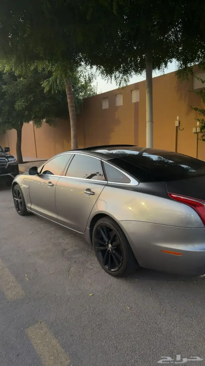 جاكوار للبيع 3