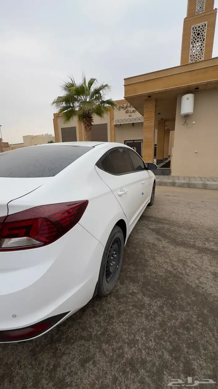 النترا ستاندر 2019 5