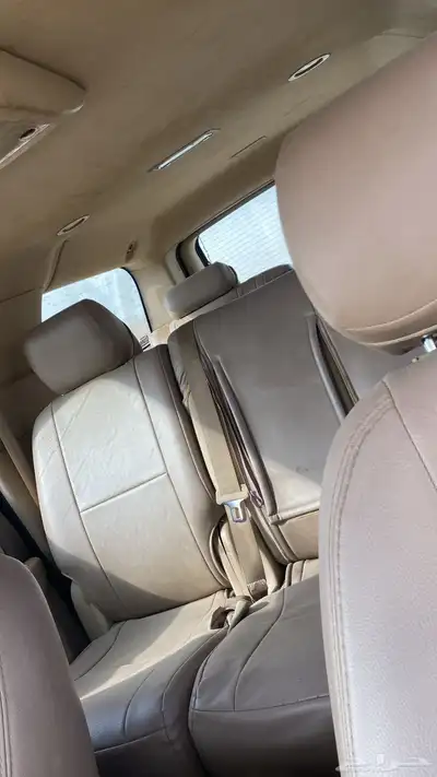 القنفذه index