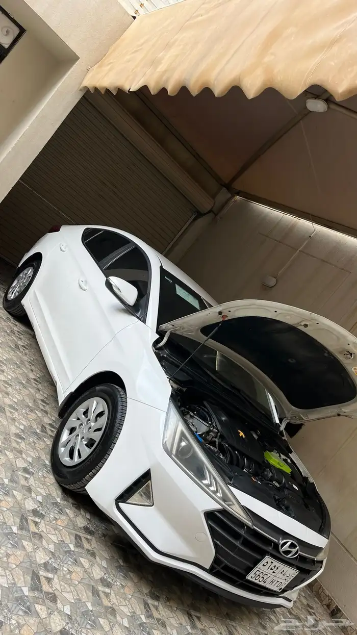 النترا 2019 2.0 12