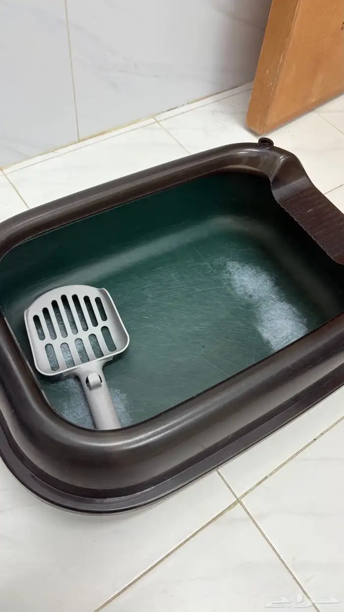 اغراض للقطط 3