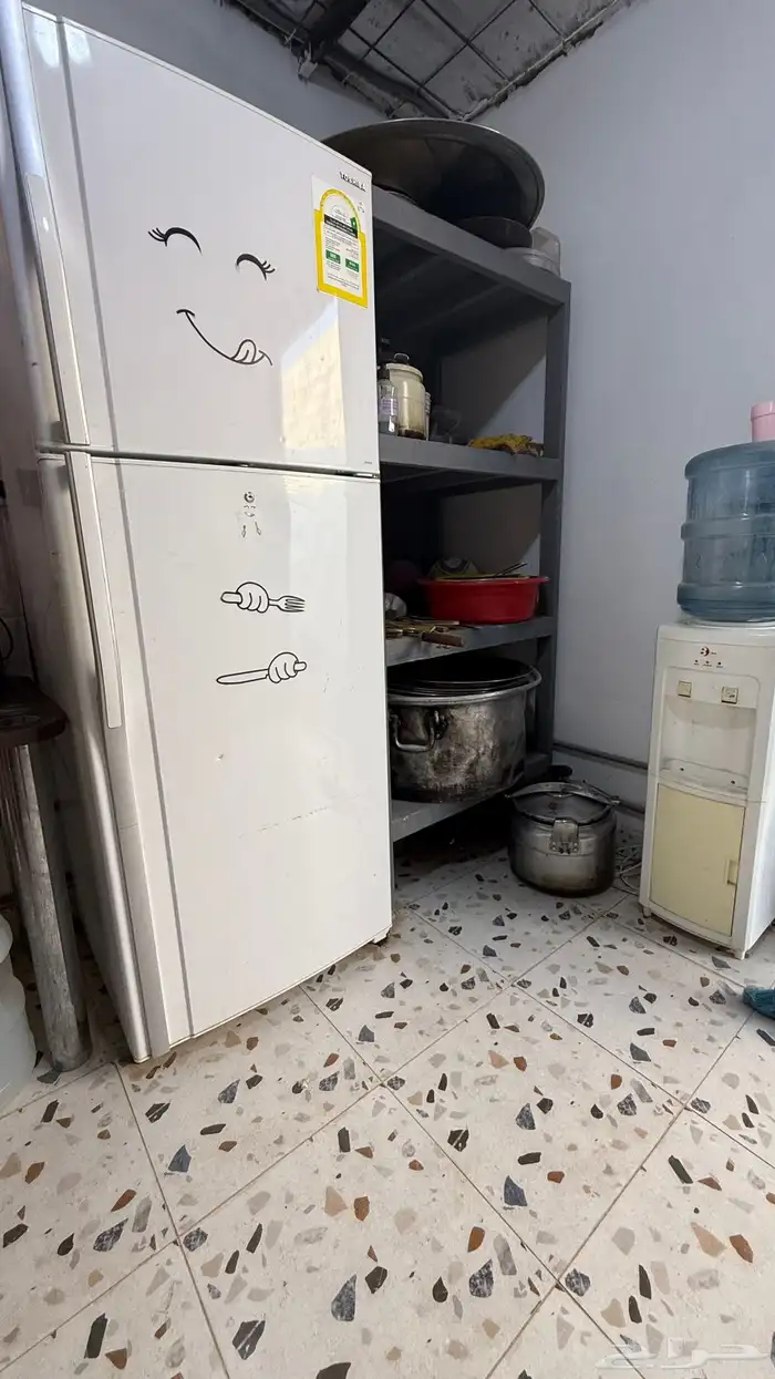 مخيم سترين 26