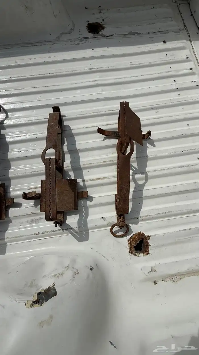 مصيدة سباع 1