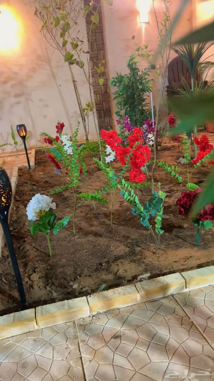 شاليه استراحه للايجار 49