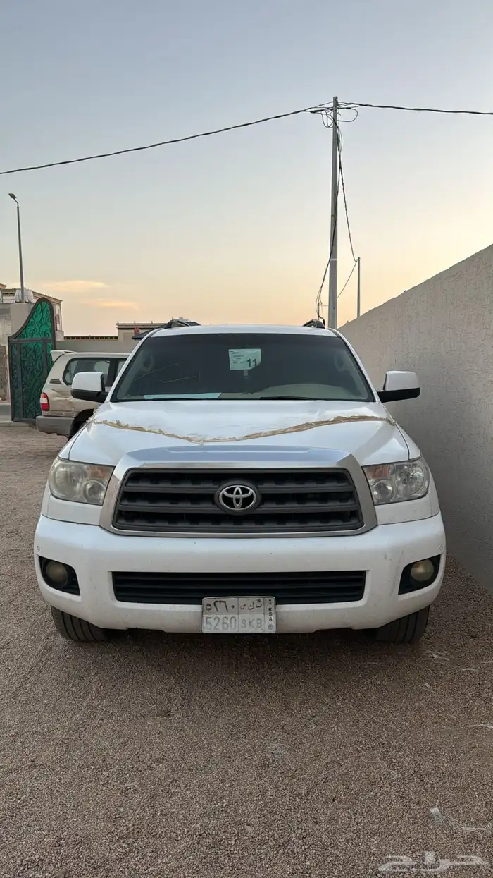 سيكويا 2011 11