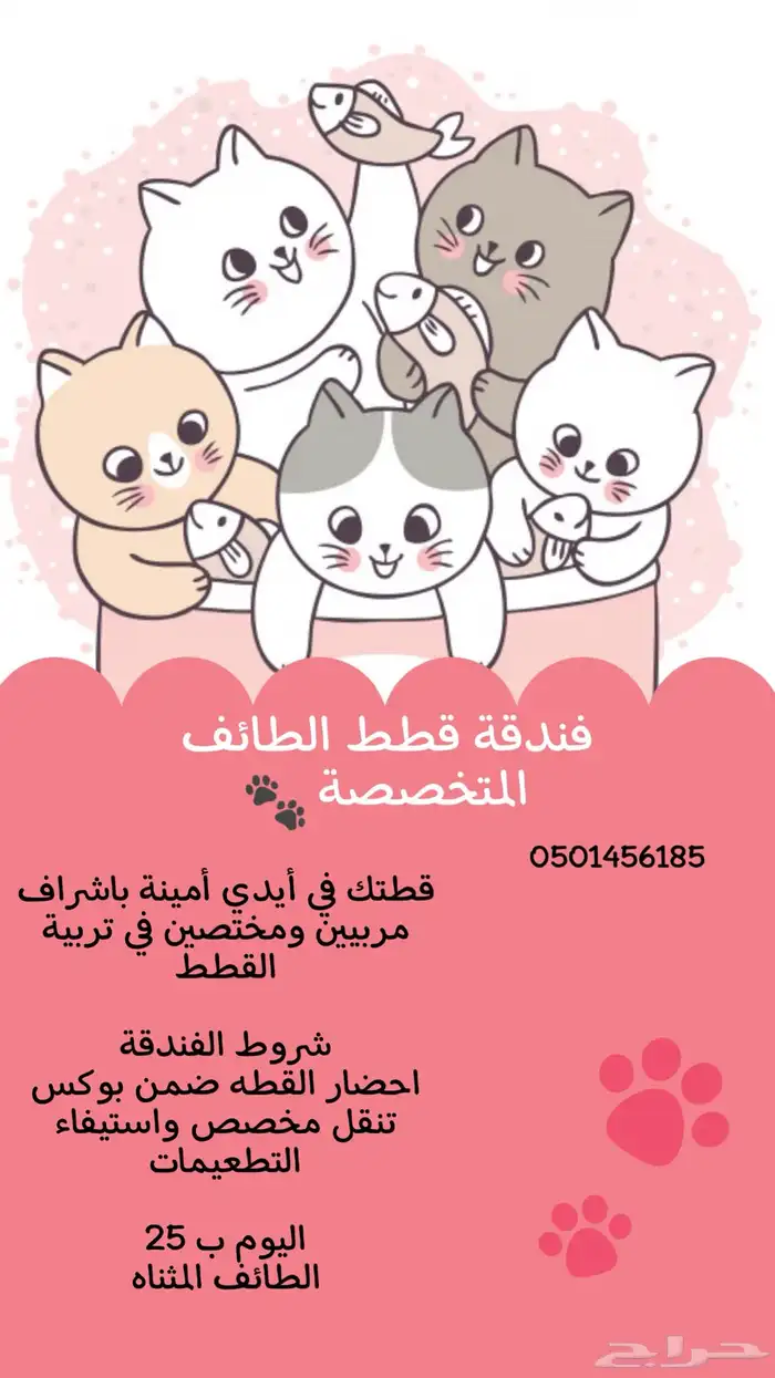 فندقة قطط متخصصة 1