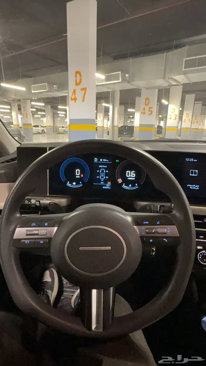 سوناتا 2024 12