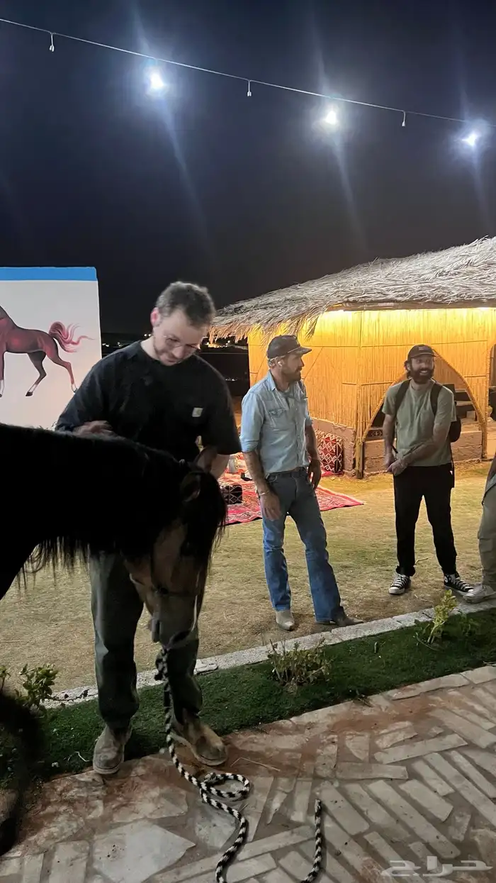 مربط نجدRQ للايواء عسف تدريب تشغيل 3