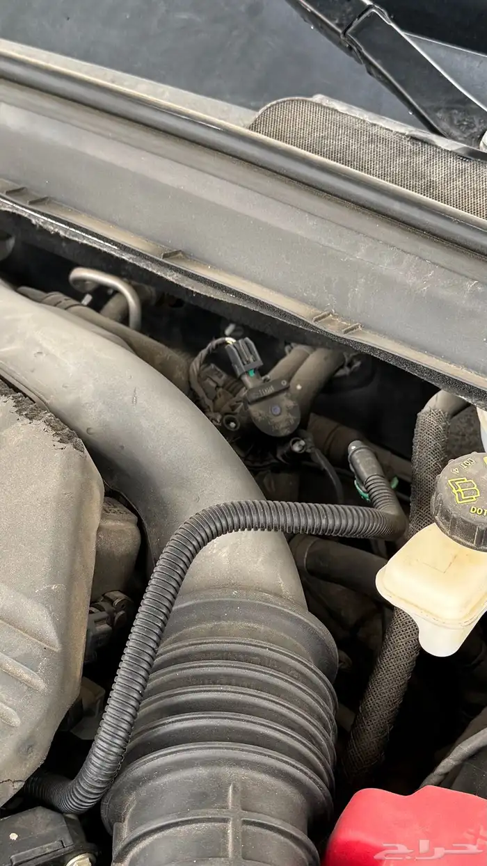 فورد تورس 2022 19