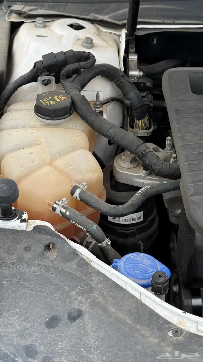 فورد تورس 2022 17