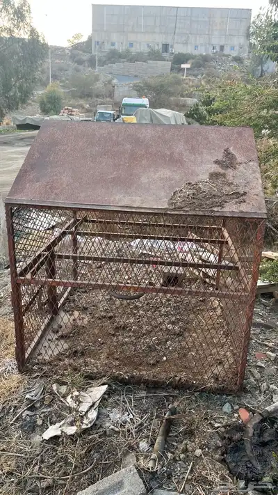 صندقه او شبك طيور وغيره index