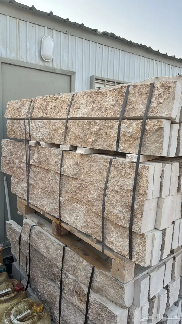 حجر وجه الجبل ونساح الرياض ابيض 7