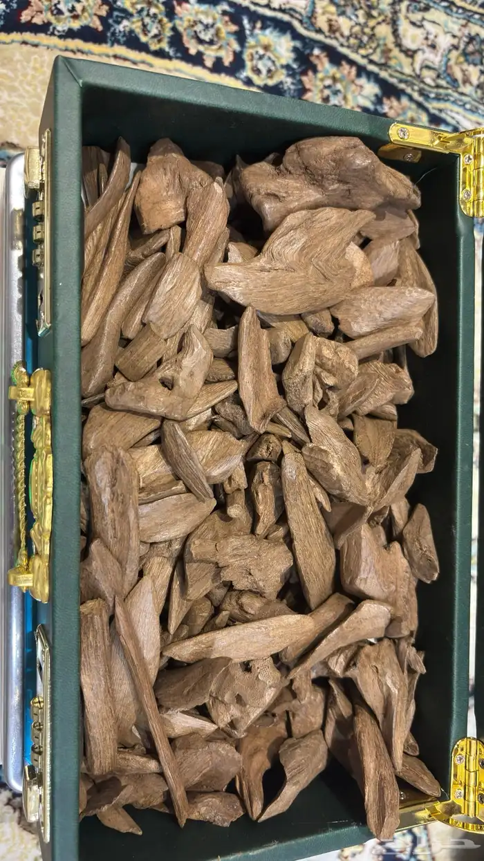 عود مروكي آصقون 0