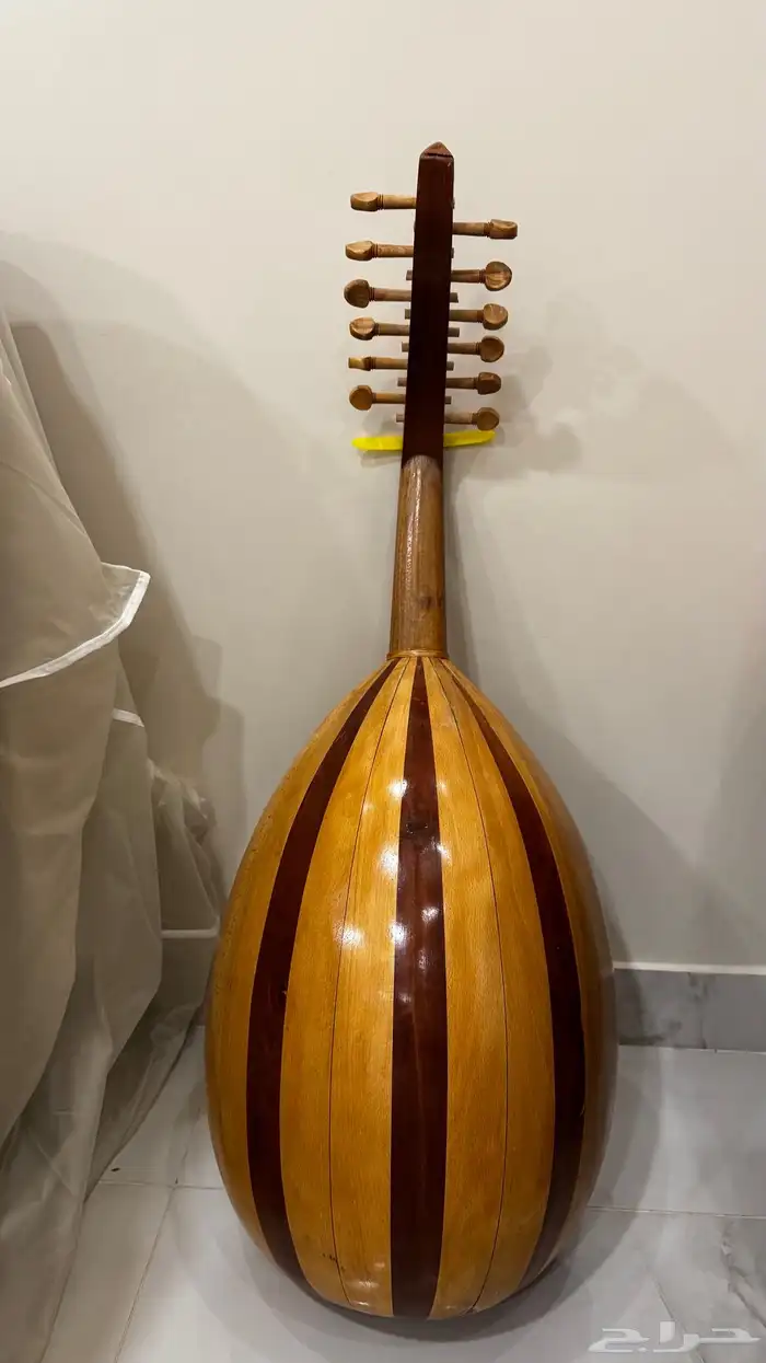 عود مصري ومرواس سوري 1