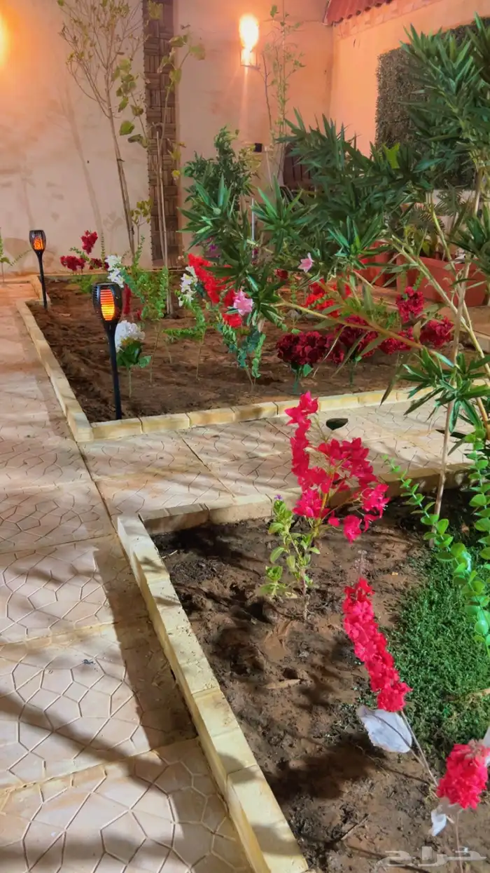 شاليه استراحه للايجار 53