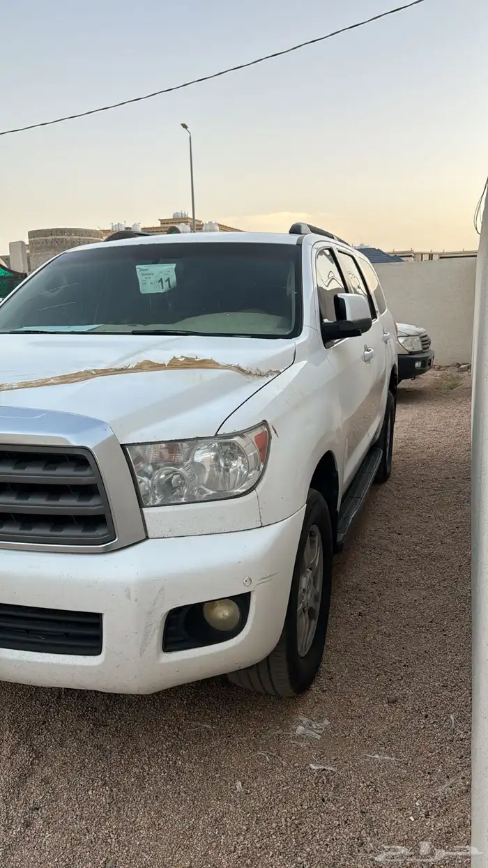 سيكويا 2011 12