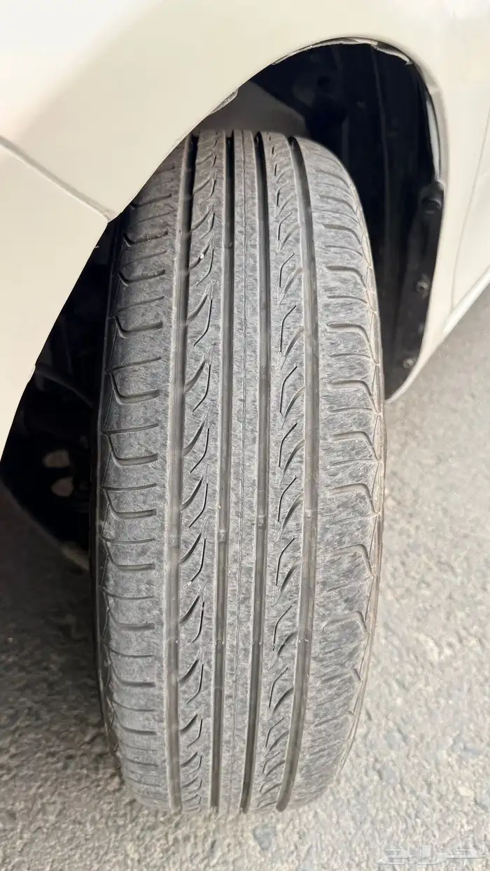 يارس قمة في النضافة الممشى 164 26