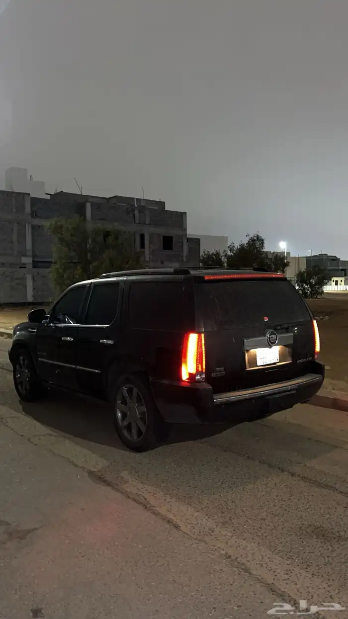 كدلك 2011 للبيع 7