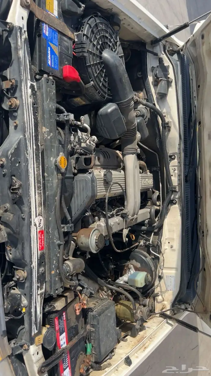 صلو علئ النبي 5