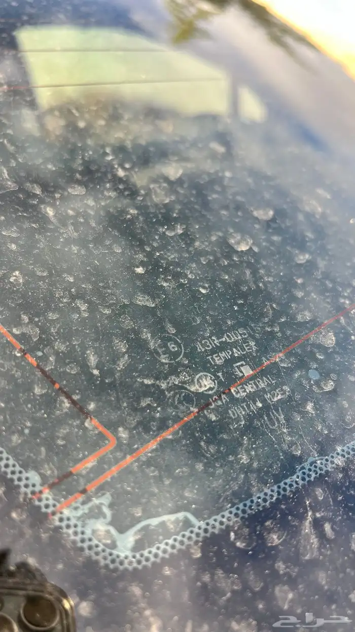 مكسيما 2008 للبيع 13