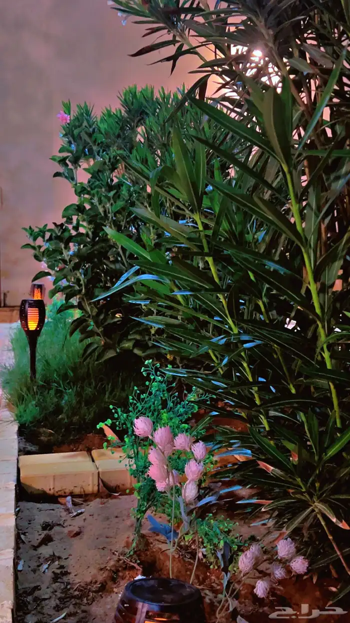 شاليه استراحه للايجار 14