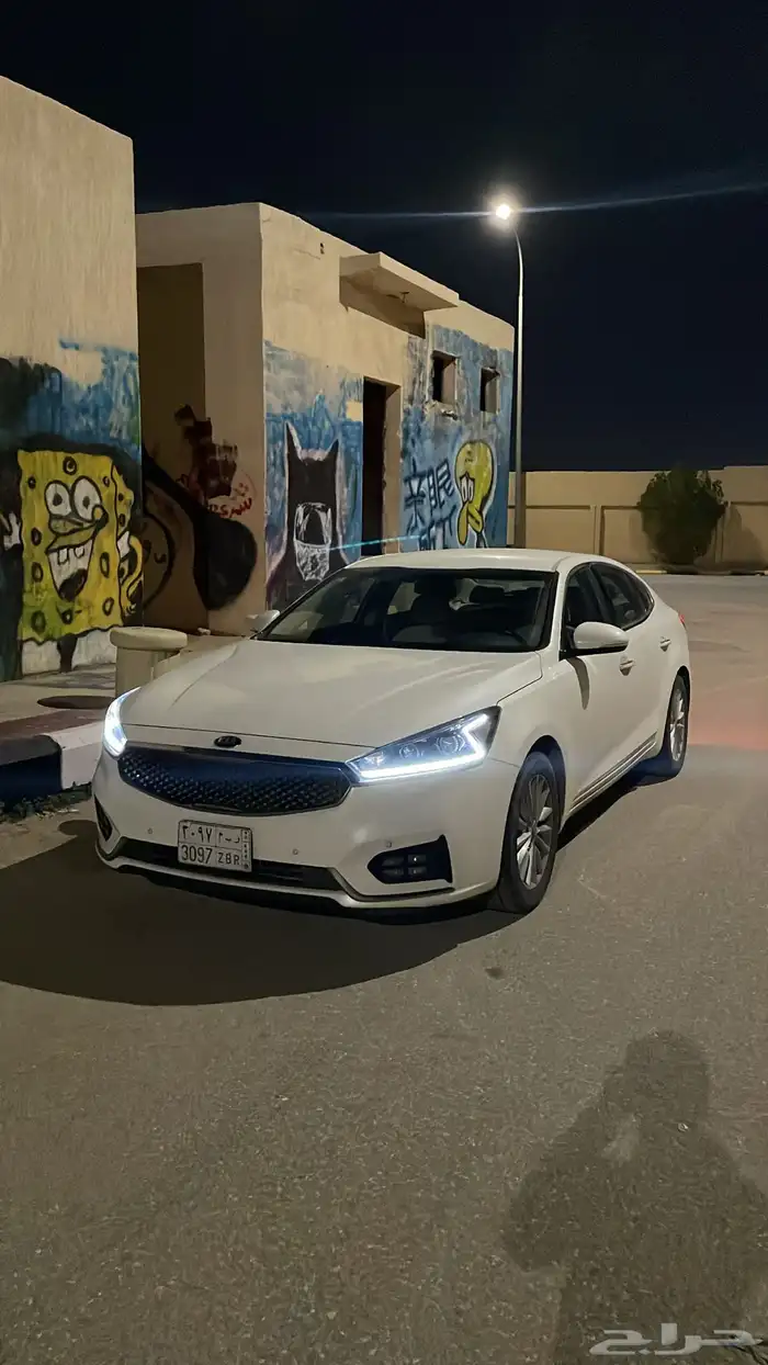 كادينزا 2019 2