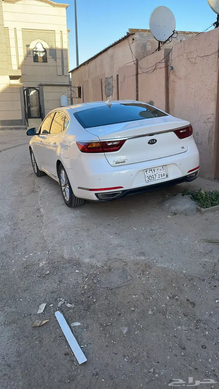 كادينزا 2019 3