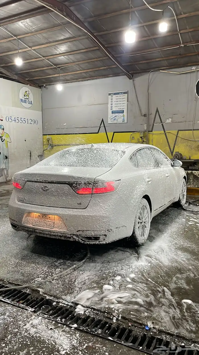 كادينزا 2019 5