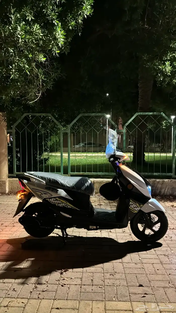 افنوس مهدي 2