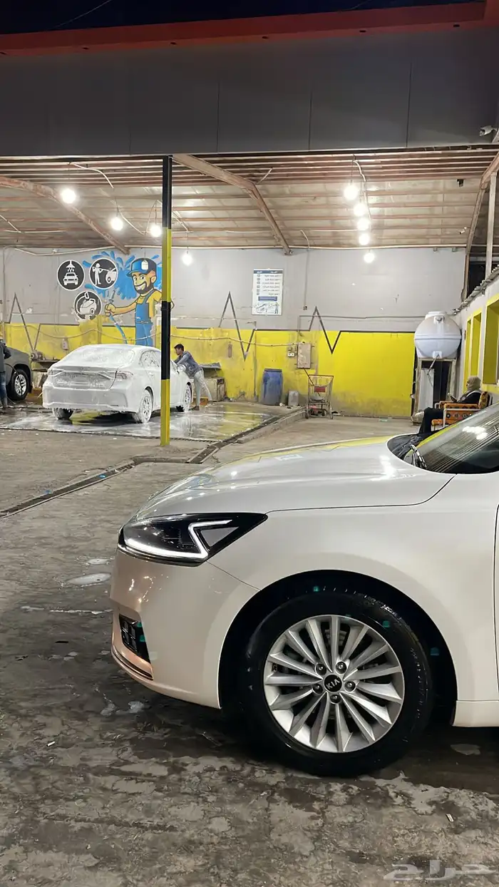 كادينزا 2019 7