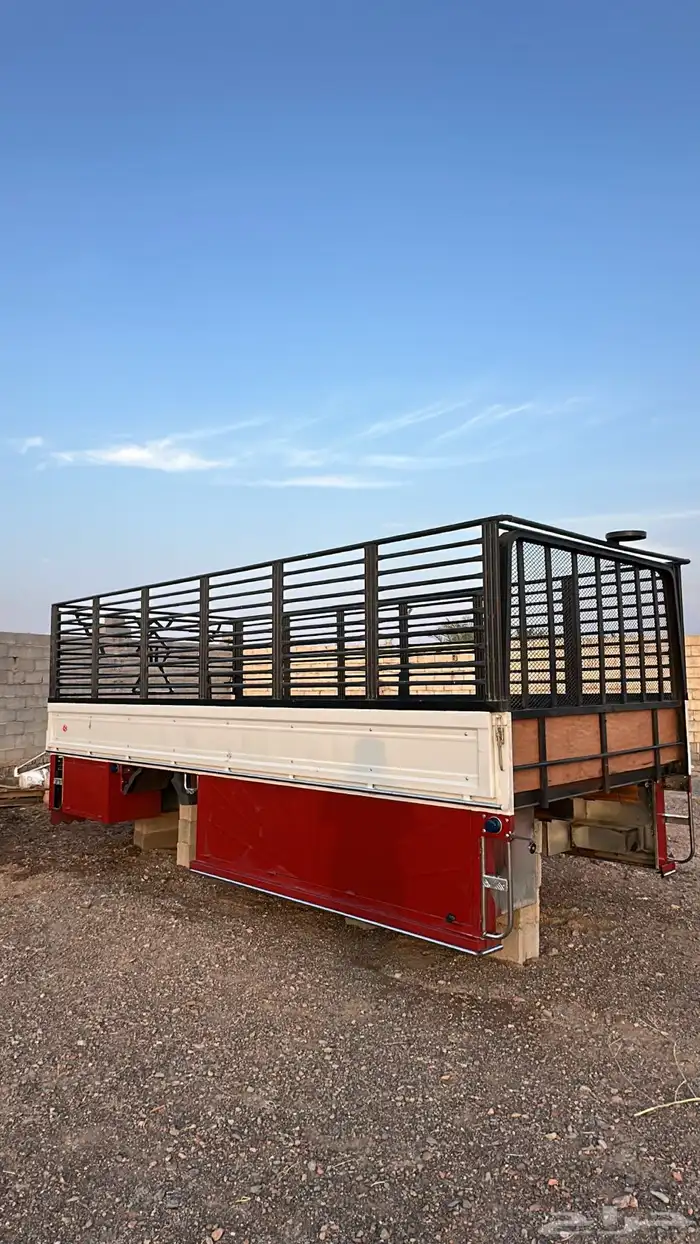 للبيع صندوق دينة شبيه البلد 2