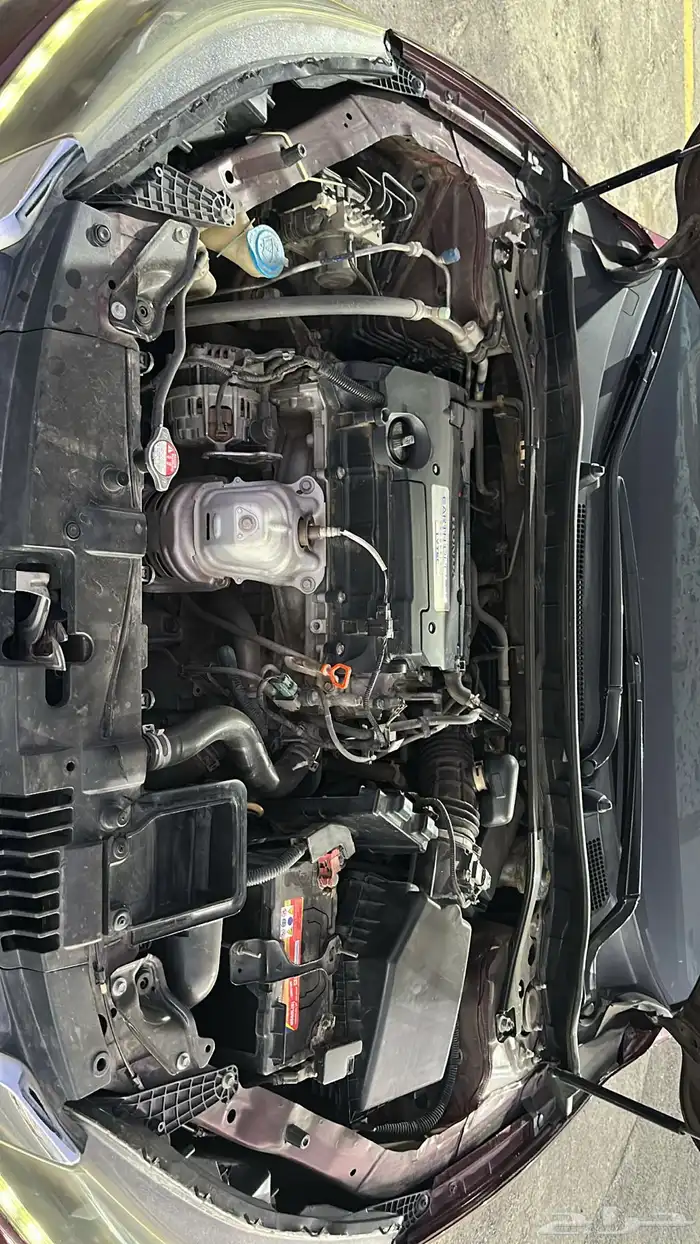 اكورد 2013 ( بودي بلد ) 13