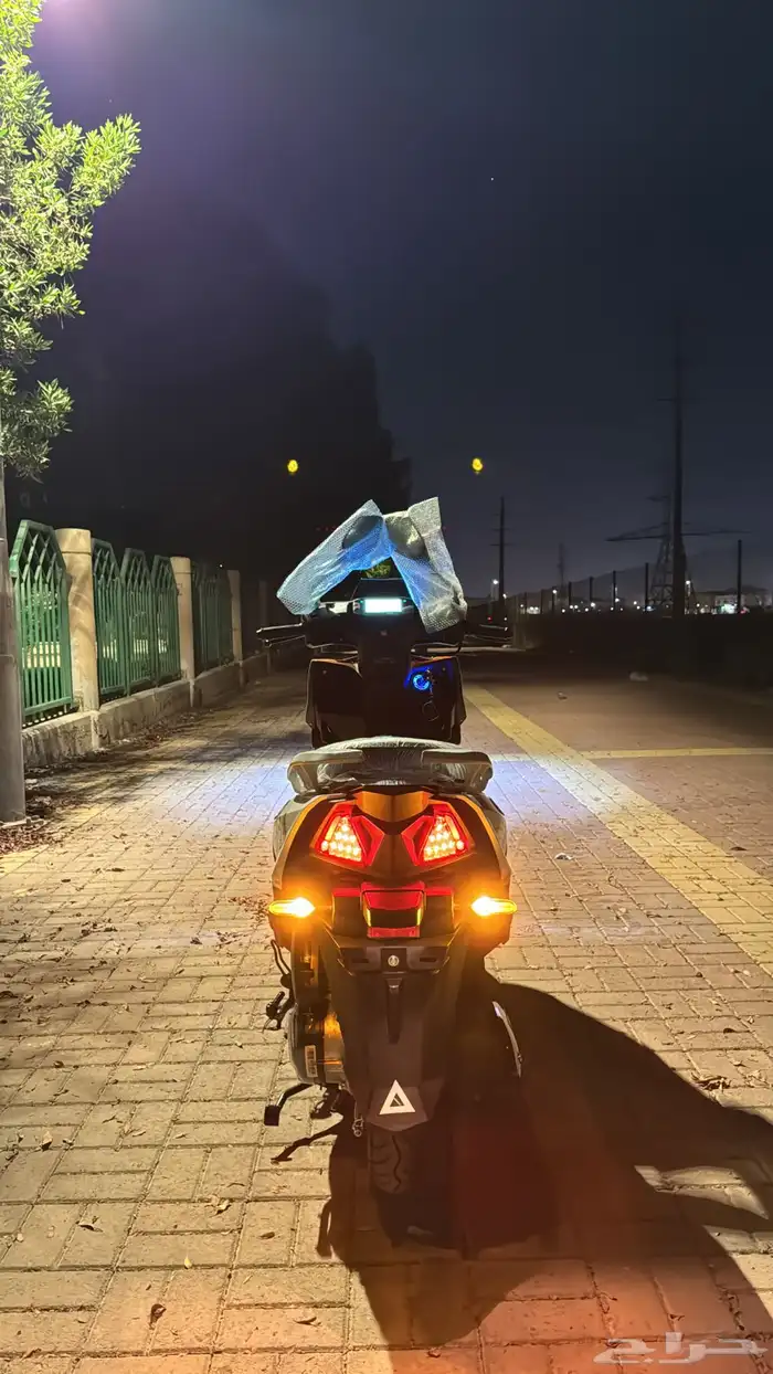 افنوس مهدي 0