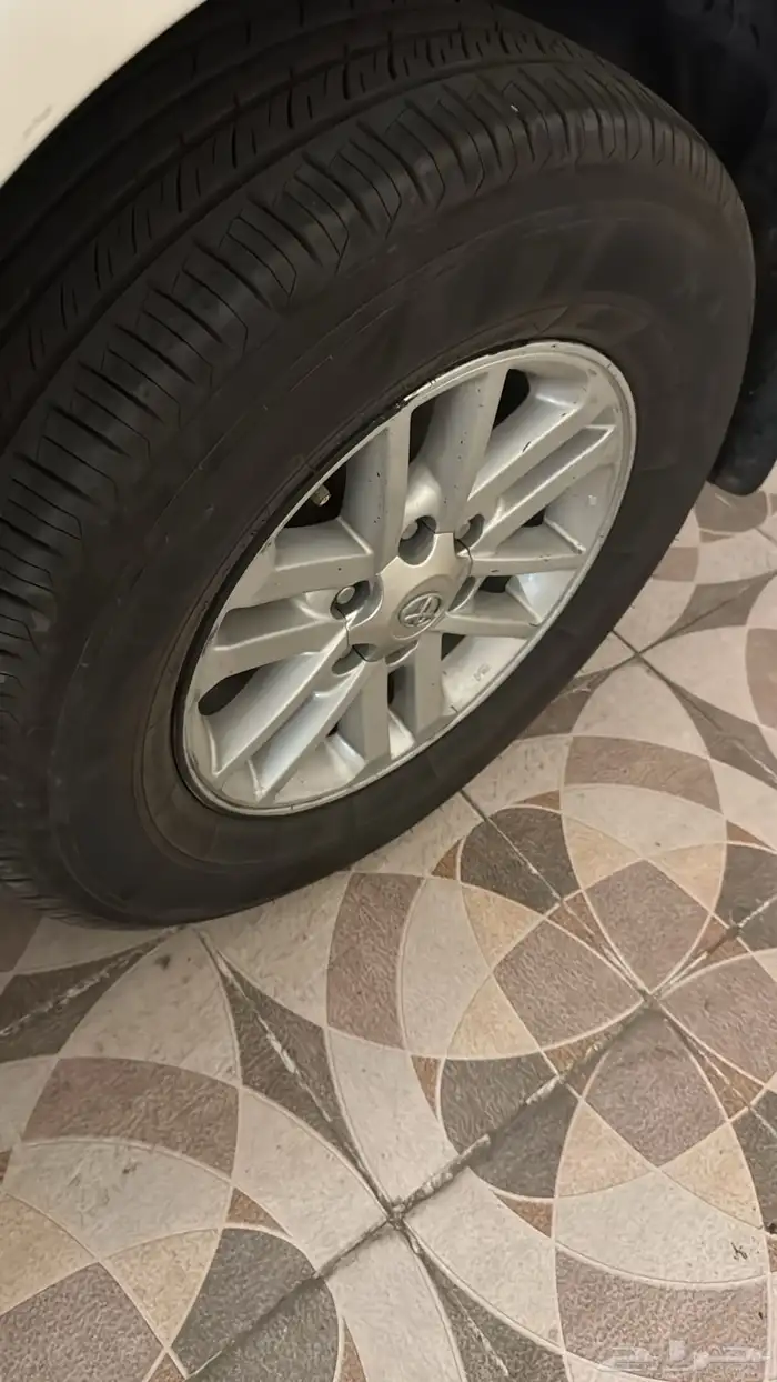 فوتشينر 2009 15