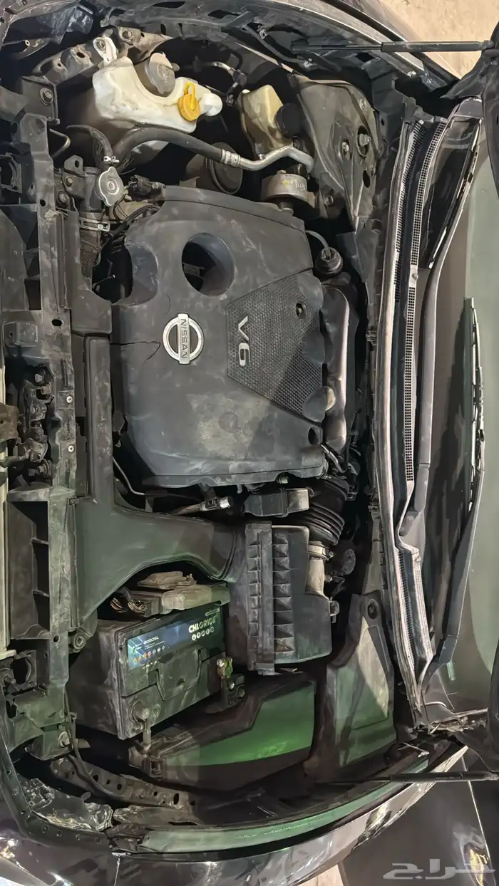 نيسان مكسيما 12