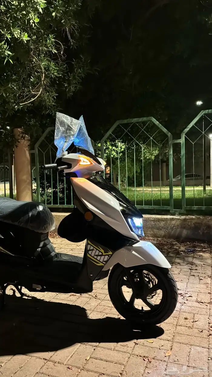 افنوس مهدي 1