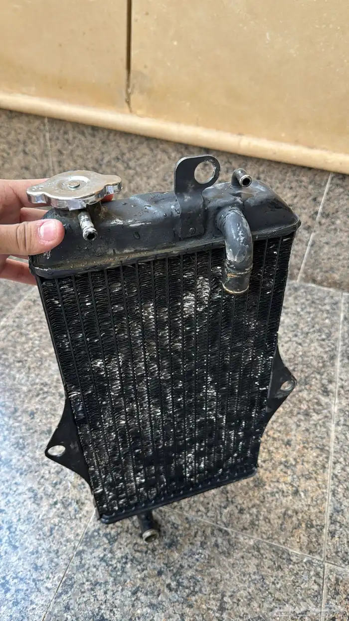 رديتر بانشي بلد 1