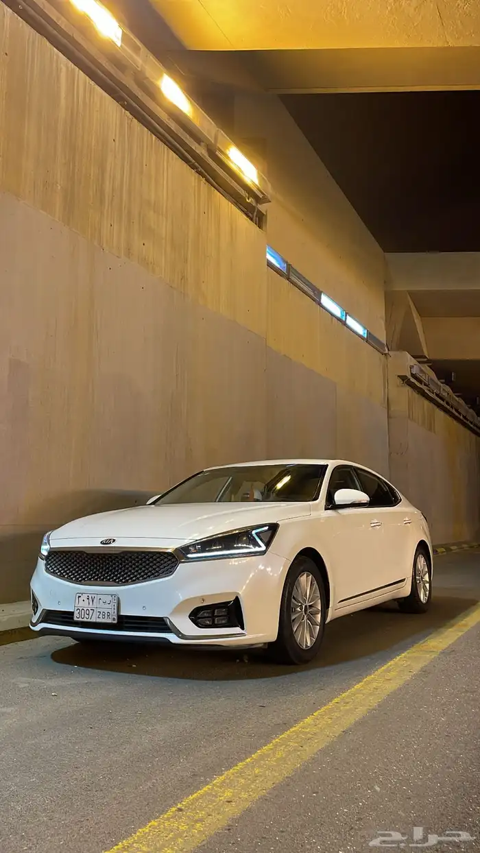 كادينزا 2019 8