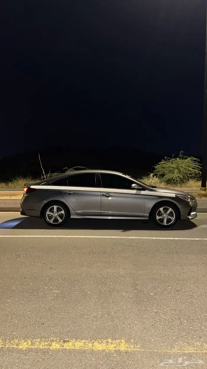 سوناتا 2018. قمة فالنظافة 13