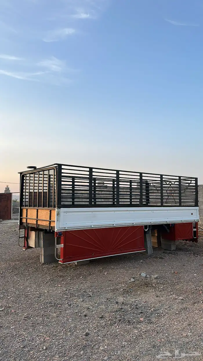 للبيع صندوق دينة شبيه البلد 1