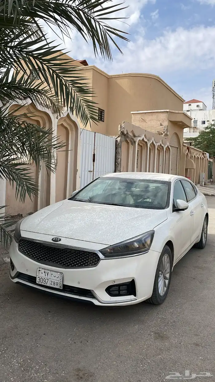 كادينزا 2019 1