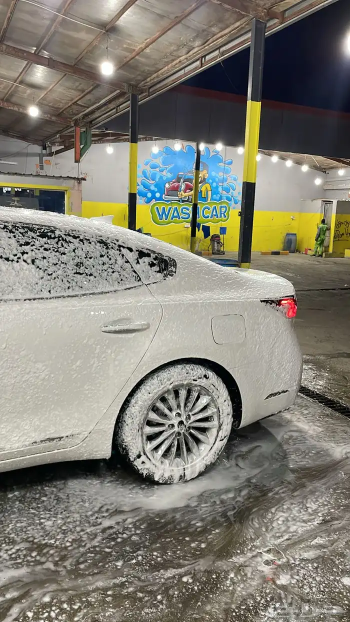 كادينزا 2019 6