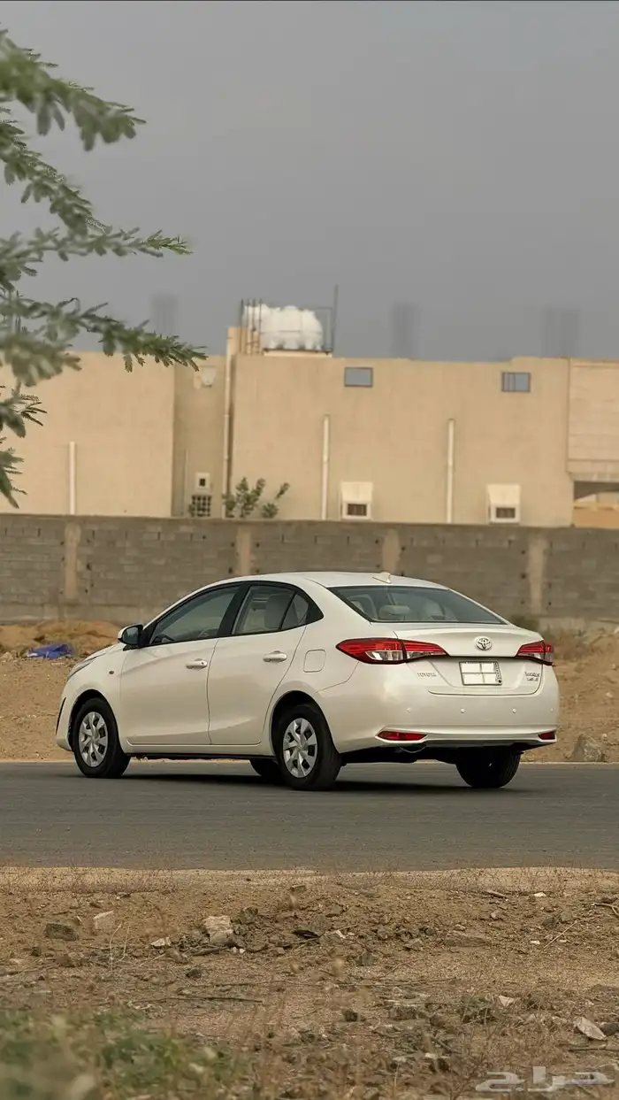 يارس قمة في النضافة الممشى 164 2