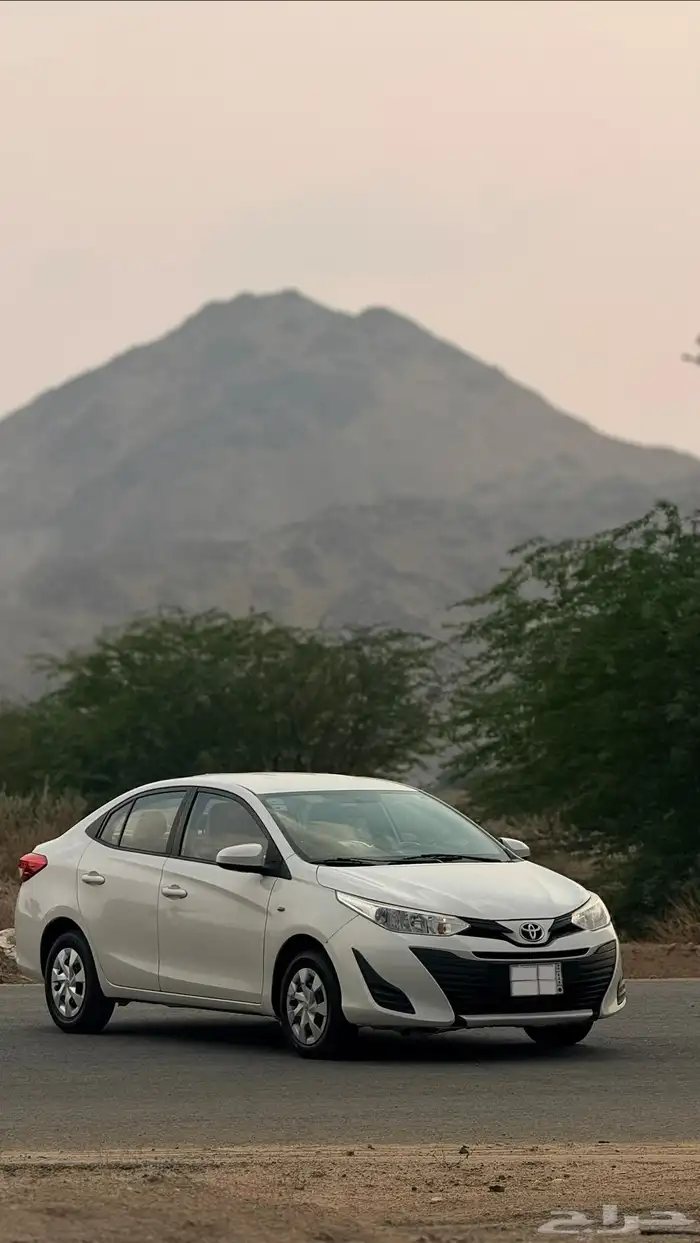 يارس قمة في النضافة الممشى 164 6