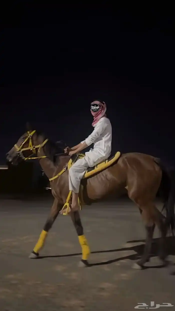 فرس حارهه جاهزه ب التشبيه 2