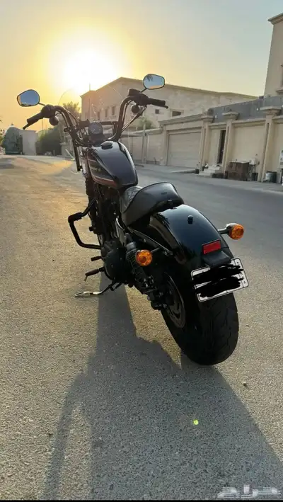 Harley Davidson 2021 sportster index