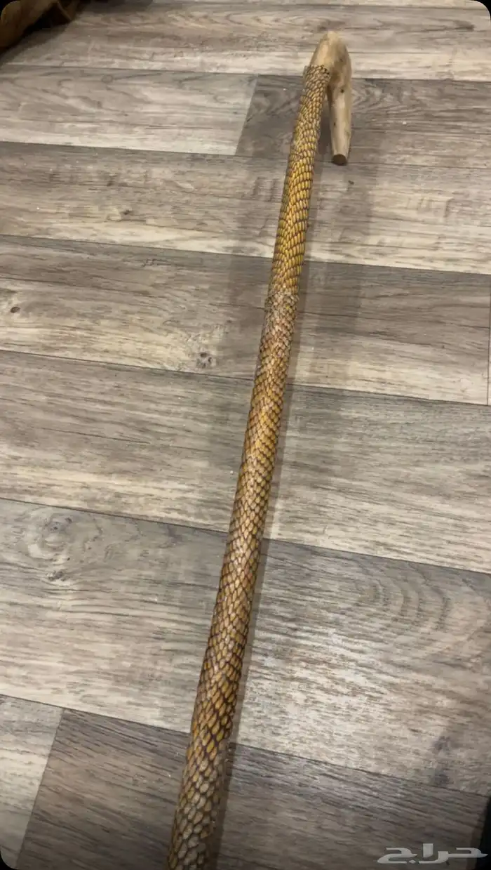 مشعاب للبيع على السوم 0